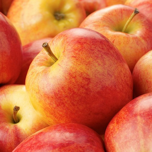 Manzana Royal Gala | #G | Chihuahua | GRL                                                                               