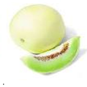 Honeydew Melon | Valenciano | Michoacán | BLK                                                                           