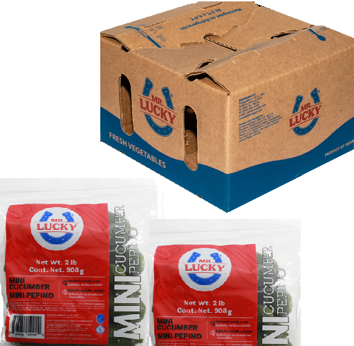 Mini Pepino | Pepino Persa |  Mr. Lucky® | Guanajuato | C-CTN 6 Pack/908Gr.-2Lb                                                                             