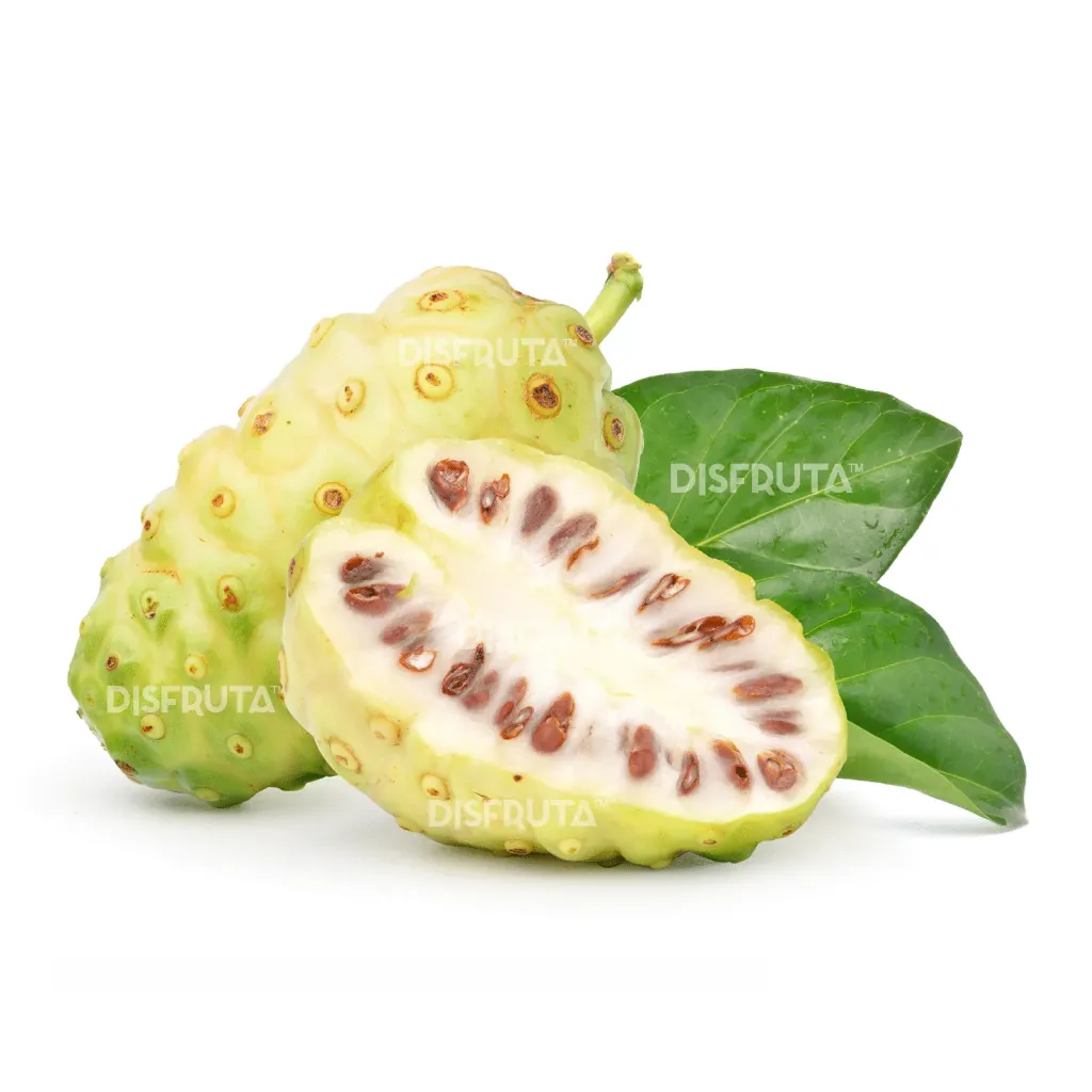 Noni | Indian Mulberry| Nayarit | BLK                                                                               