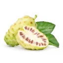 Noni | Indian Mulberry | Nayarit | BLK                                                     