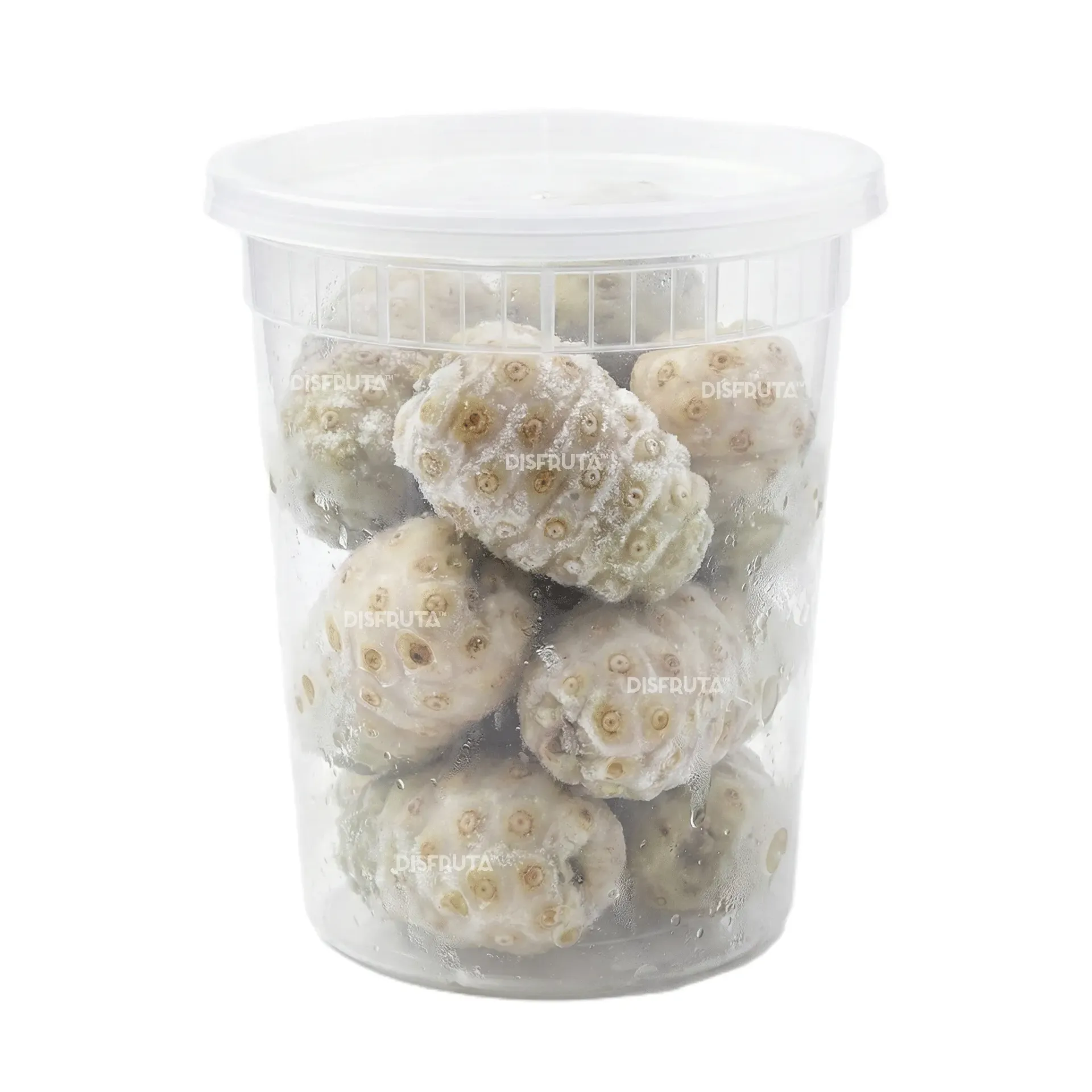 Frozen Noni | Indian Mulberry | Nayarit | 1LT