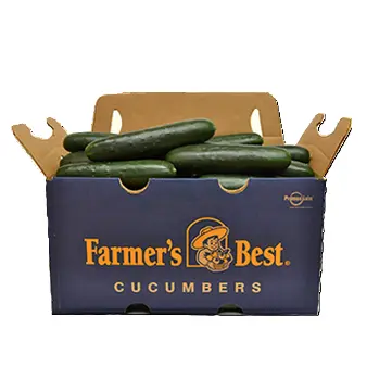 Pepino Americano | Genérico |  Jalisco |  C-CTN ±24Kg                                                                          