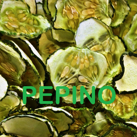 Pepino Deshidratado | Guanajuato | GRL         