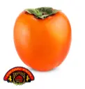 Hachiya Persimmon | Kingsburg Maiden® | California | Bulk                                                                            