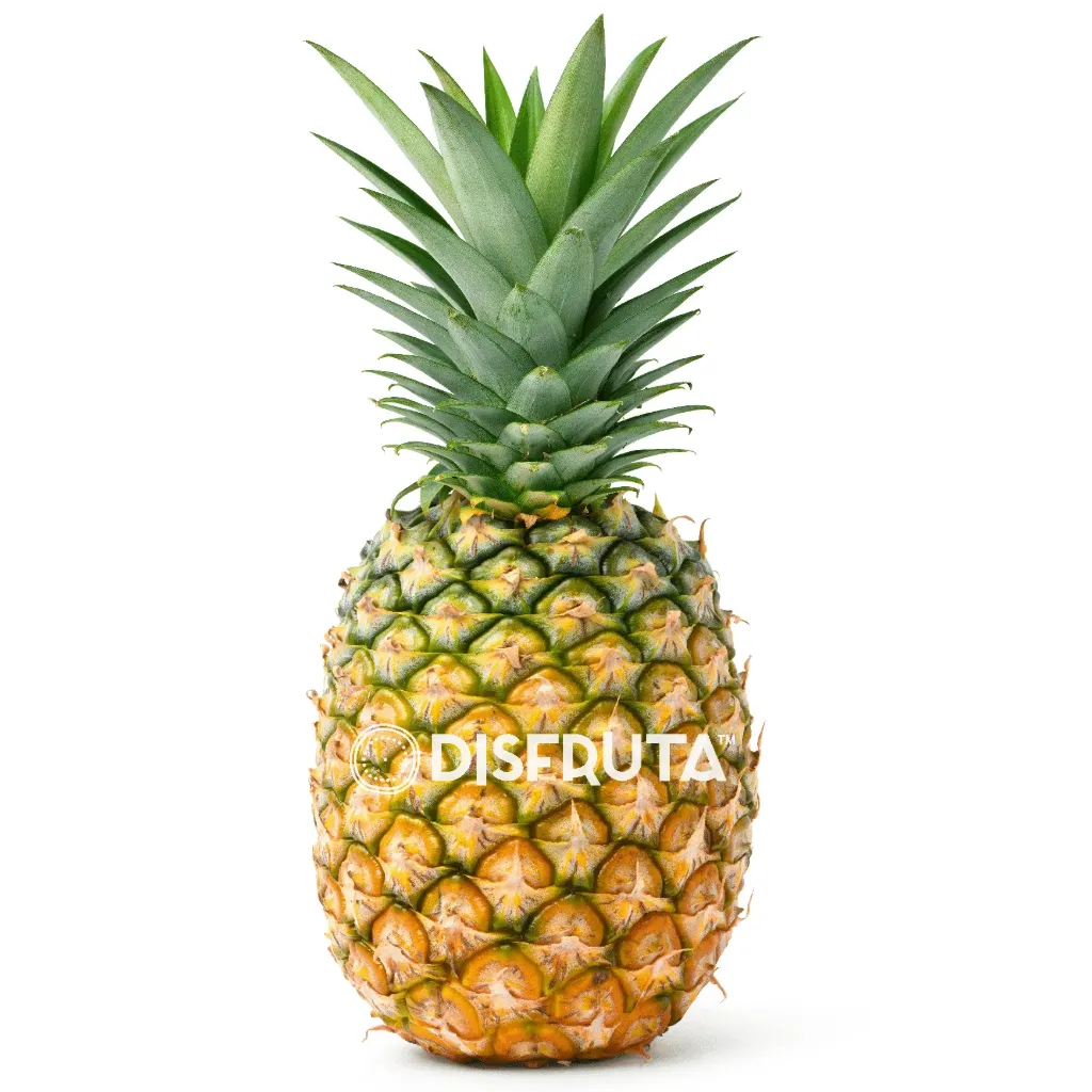 Pineapple | MD-2  | Veracruz | BLK                                                                              
