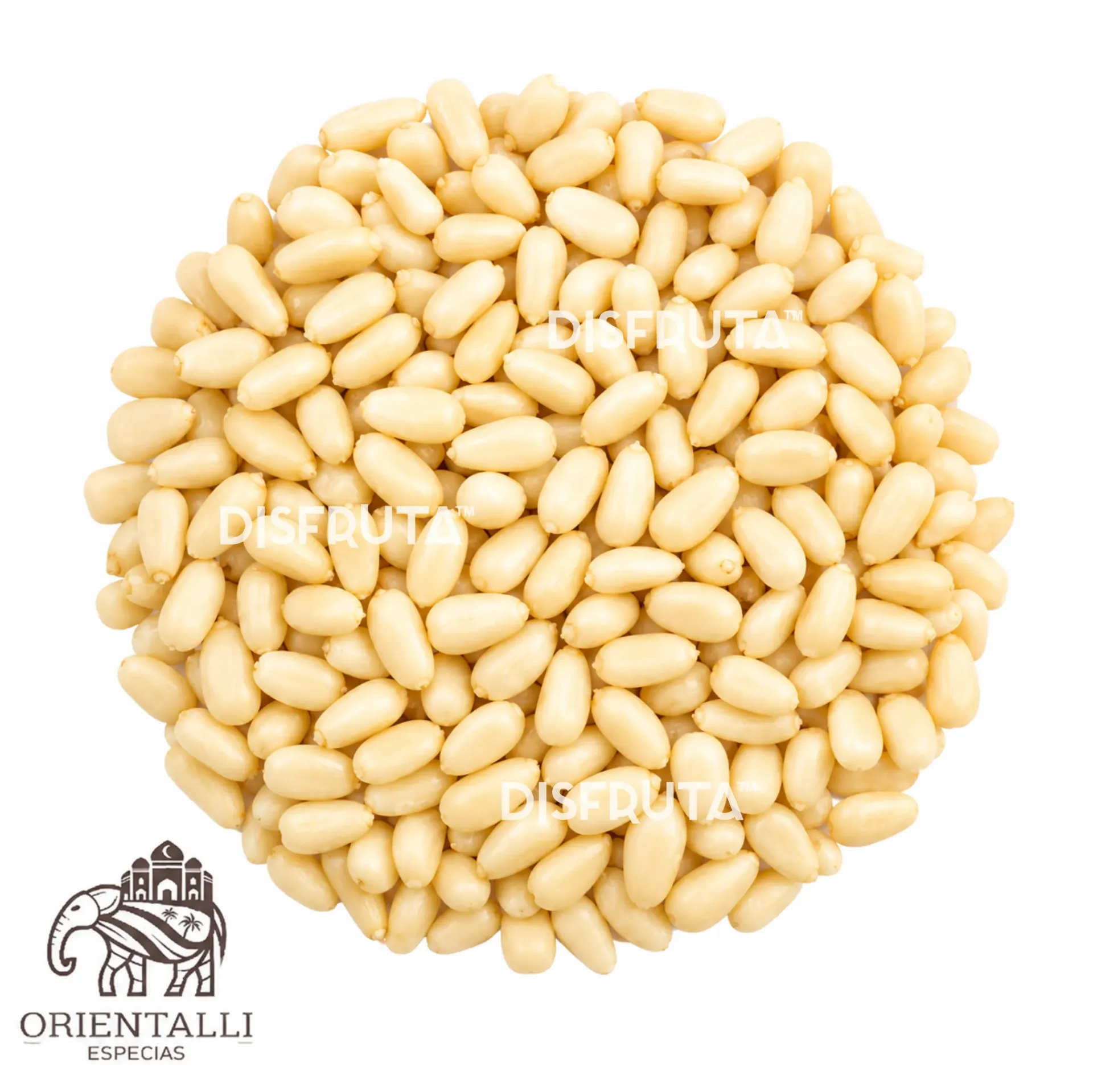 White Pine Nut | CAT 2 | Shelled | Alteña® | China | BULK                                                                             