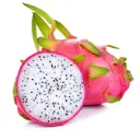 Dragon Fruit | White Flesh | #G | Guanajuato | BLK                                                                      