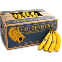 Cavendish Banana | Chiapas | BX-CRB ±18 Kg                                                                         