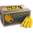 Cavendish Banana | Chiapas | BX-CRB ±18 Kg                                                                         