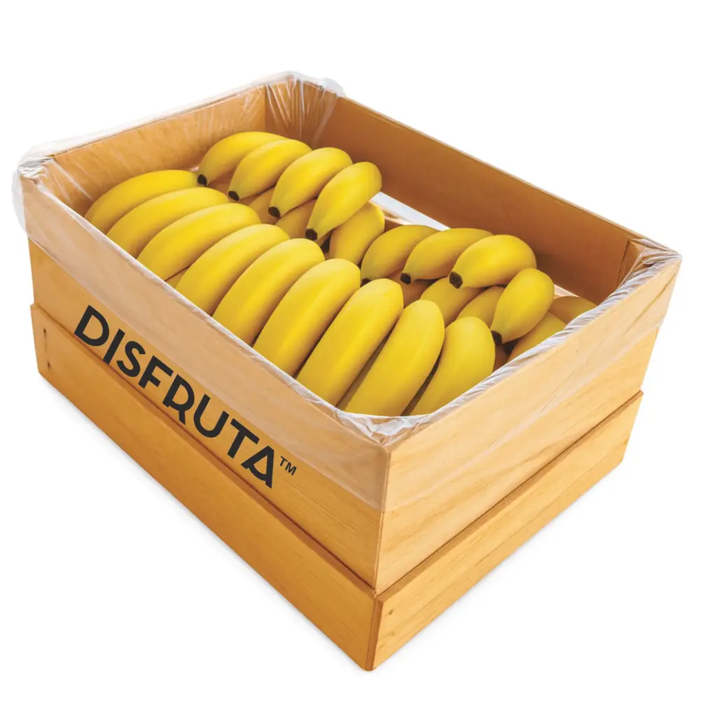 Plátano Cavendish | Colima | C-MDR ±17.5 Kg                                                                               