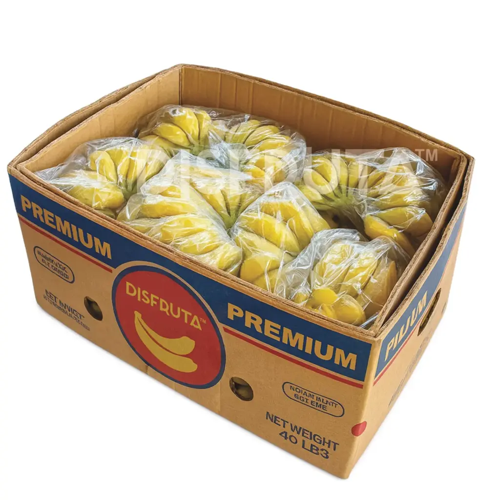 Guineo Banana | #CAT.2 | Chiapas | CTN-BX ±17.5 Kg                                                             