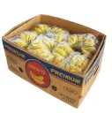 Guineo Banana | #CAT.2 | Chiapas | CTN-BX ±17.5 Kg                                                             