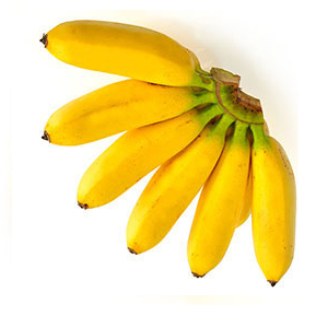Baby Banana | Chiapas | BLK                                                                               
