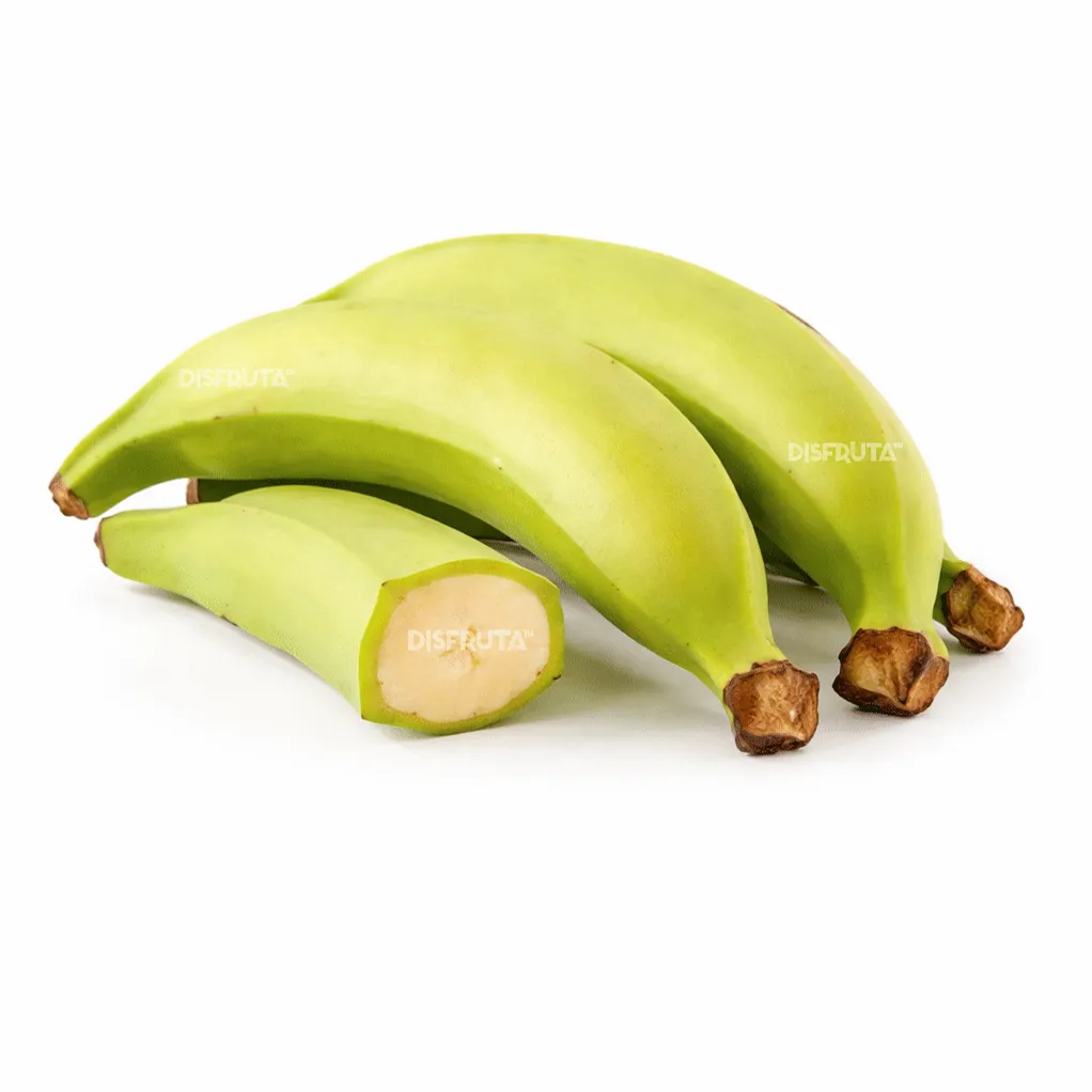 Plantain | Select | Colima | BLK