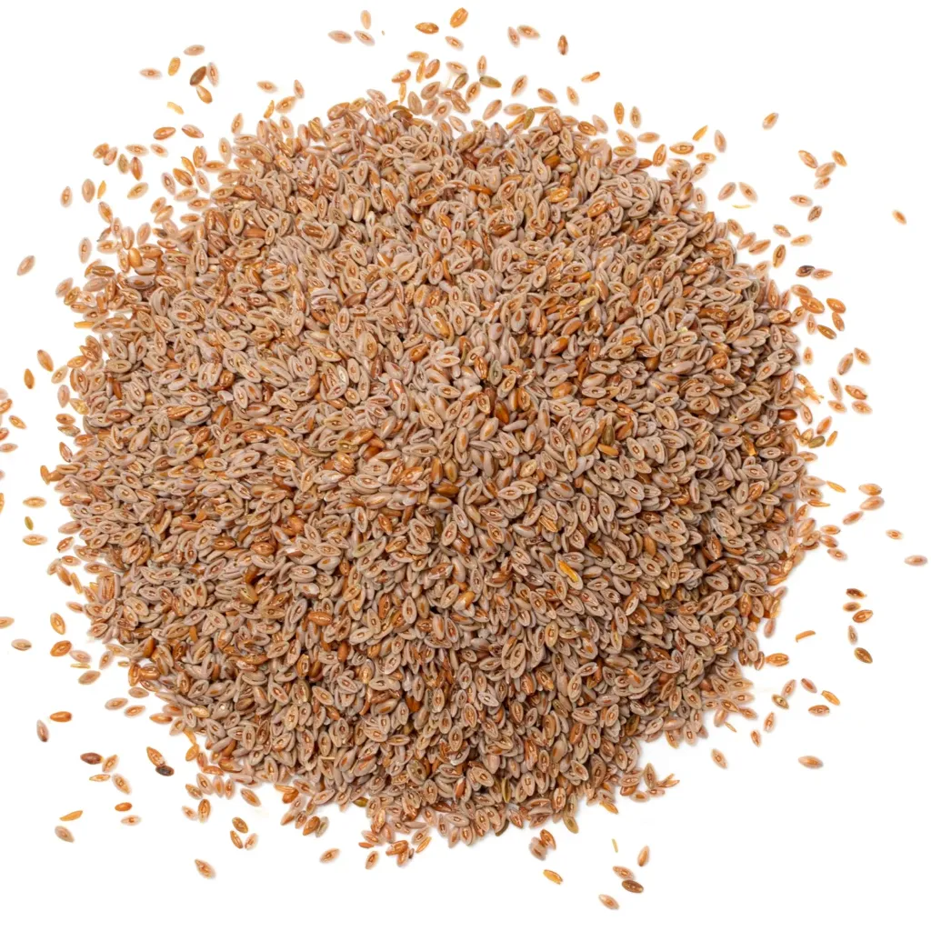 Psyllium Husk | Plántago Afra/Stricta |  India | GRL                                                                               