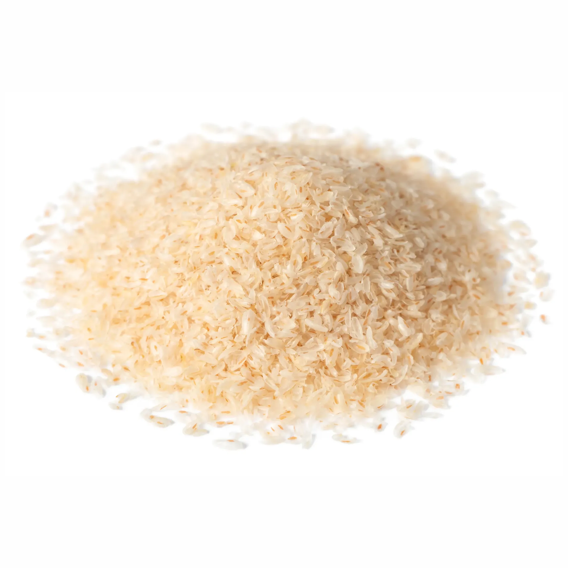 Psyllium Husk | Plantago afra / Plantago stricta | India | BLK                                          