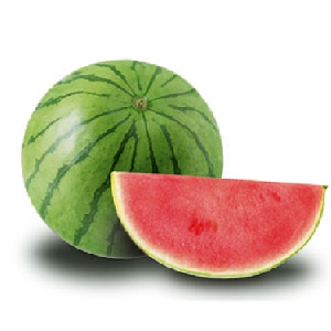 Sandía Dulcinea | Sonora | GRL                                                                              