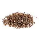 Cardamom Seeds | Guatemala | BLK