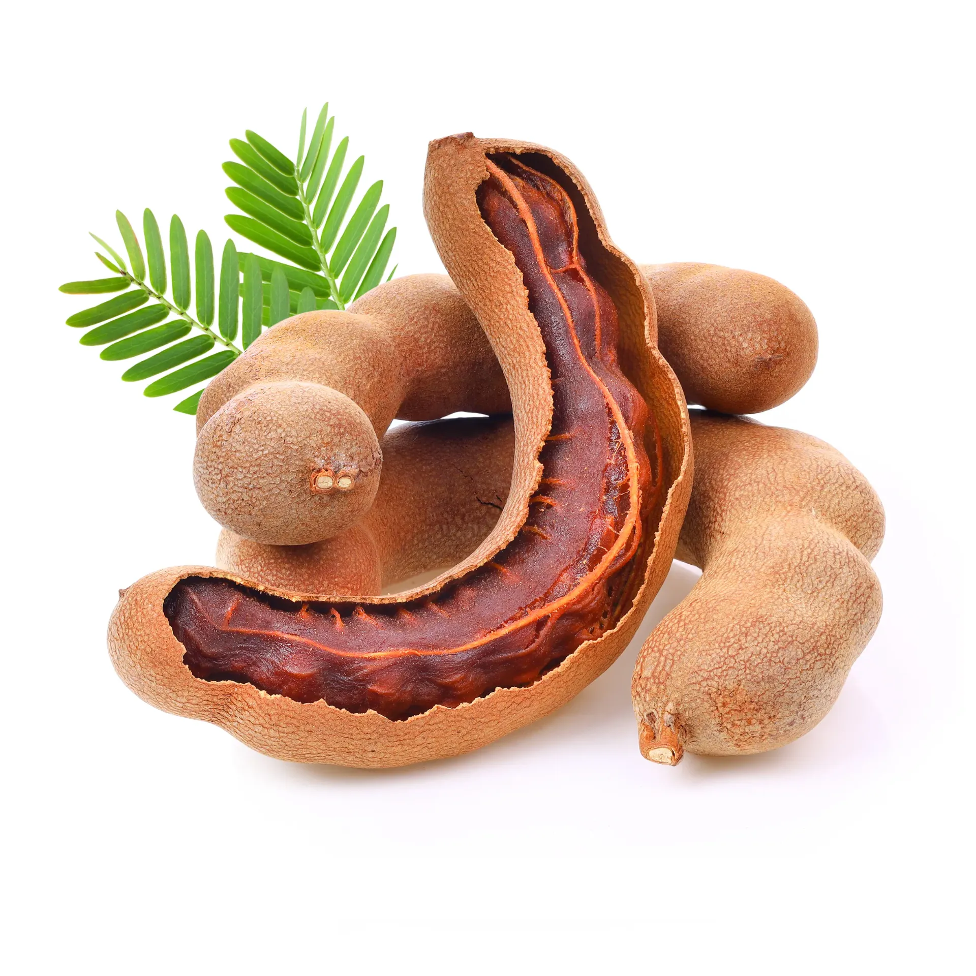 Select Tamarind | Var. Colima 204  |  Jalisco |  BLK                                                                               