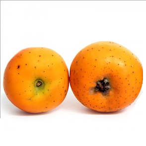 Tejocote Tracyi | # EX | Morelos | GRL                                                                               