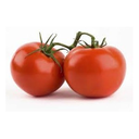 Round Tomato | Momotaro | Guanajuato | 4x4 | BLK                            