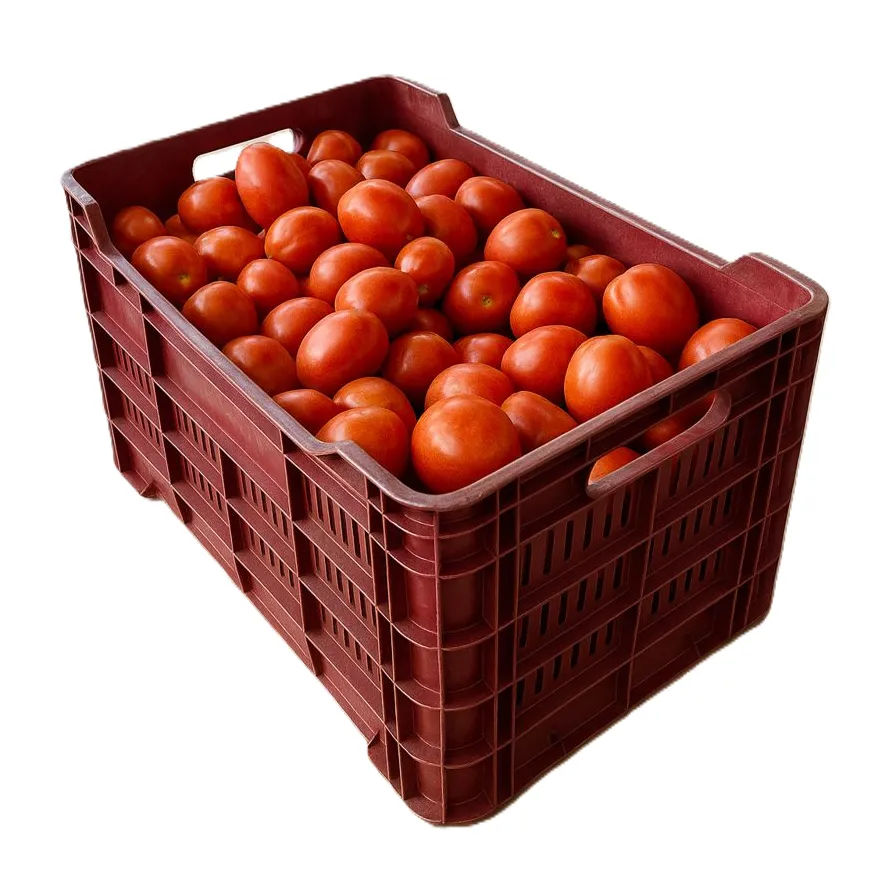 Tomate Saladet | #G | P.Invernadero | Guanajuato | C-PLS ±30KG                                                                                              