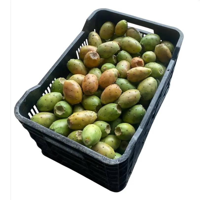 Tuna Amarilla | Zacatecas | C-PLS ±17Kg