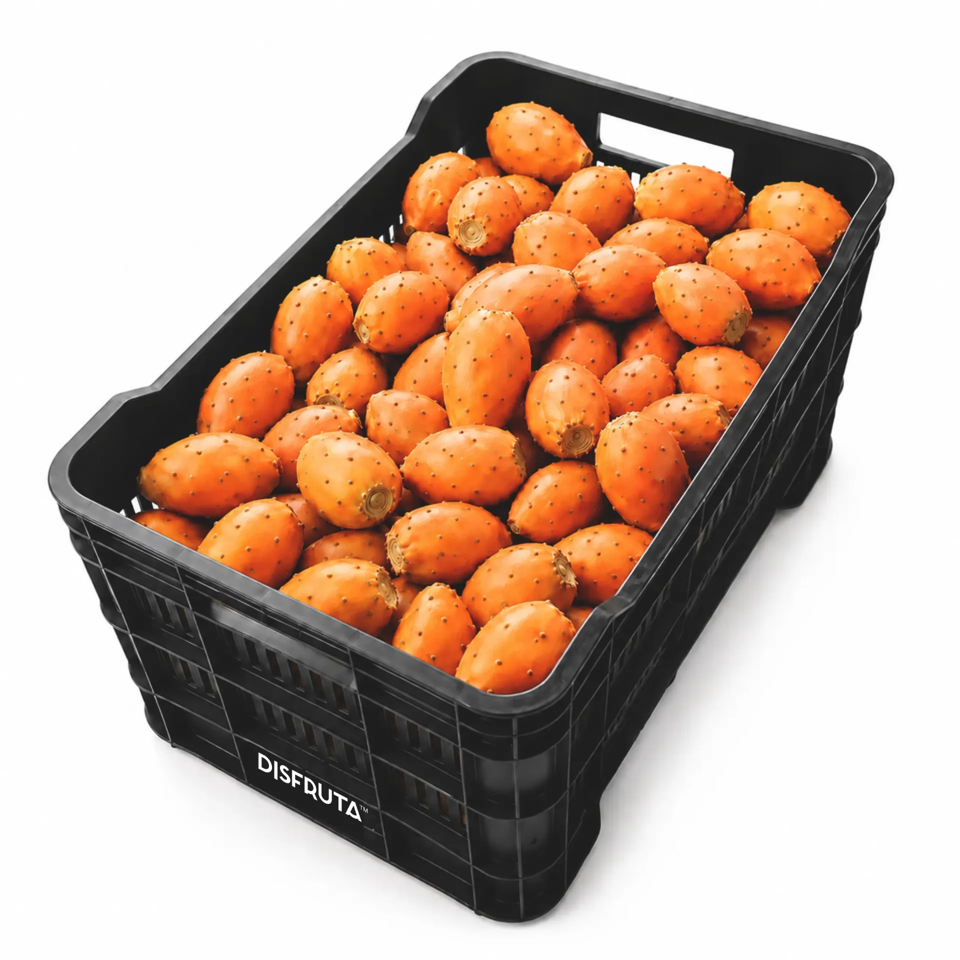 Yellow Prickly Pear | Zacatecas | PLS-CT ±20KG