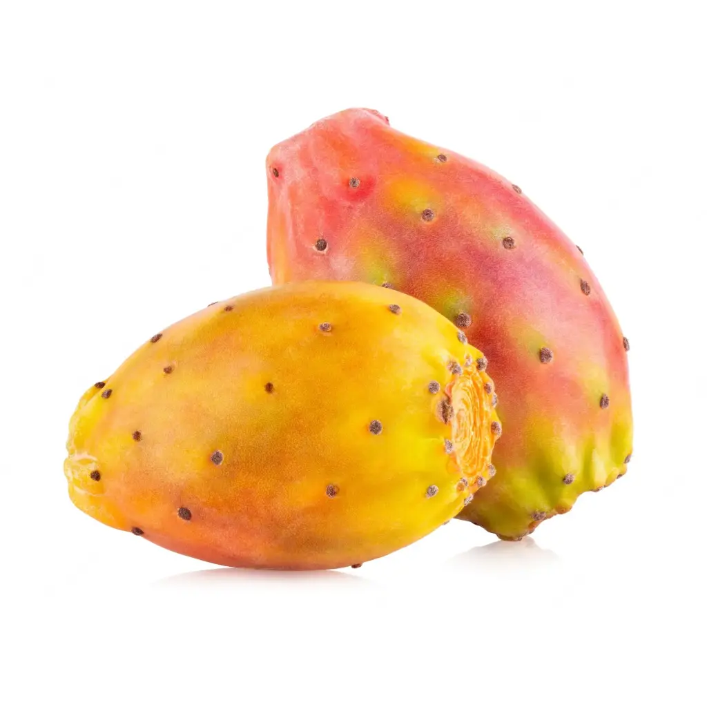 Tuna Amarilla | Zacatecas | GRL