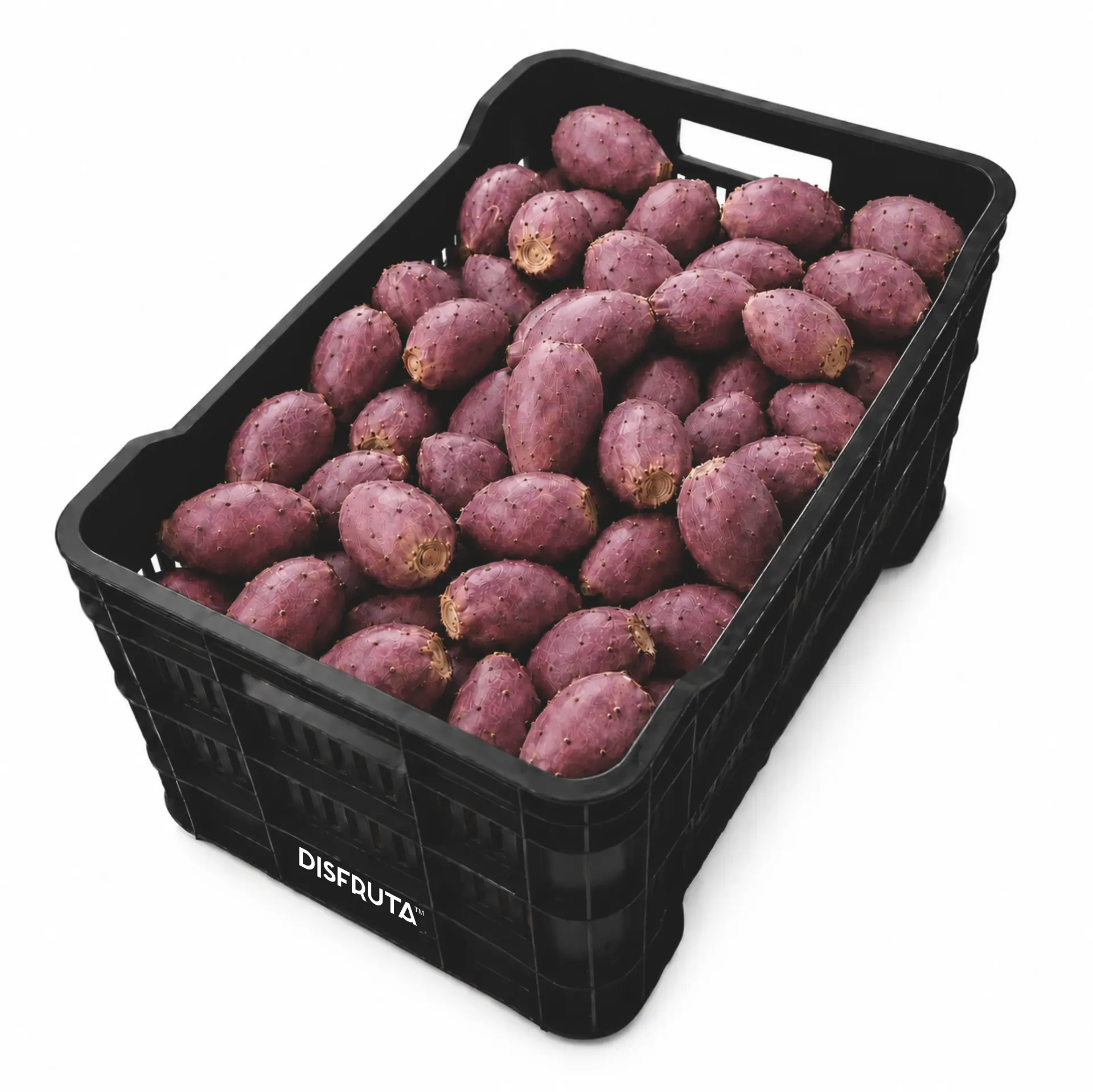 Tuna Roja Lisa |  Zacatecas | C-PLS ±20Kg
