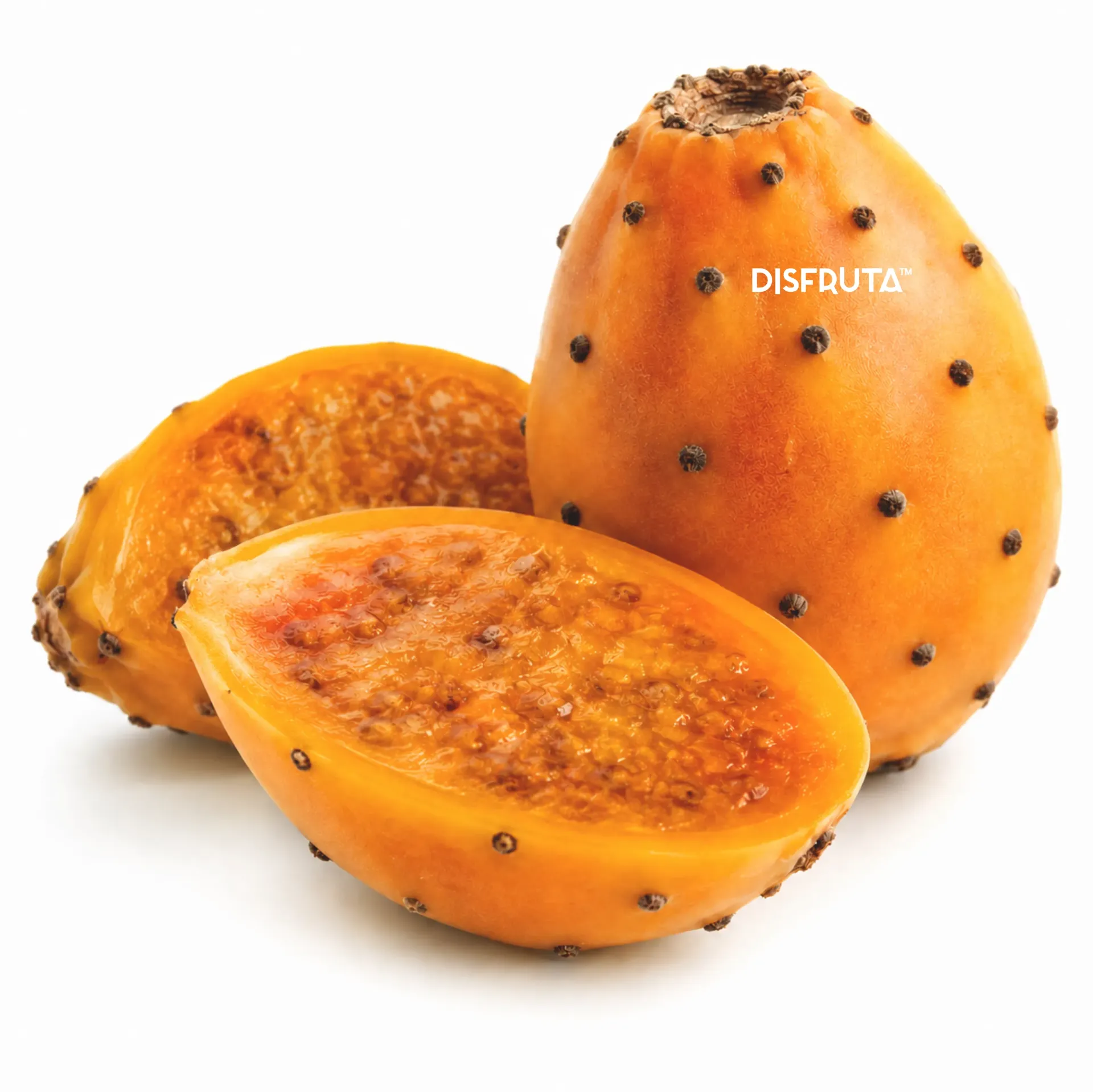 Yellow Prickly Pear | Zacatecas | BLK                                                                         