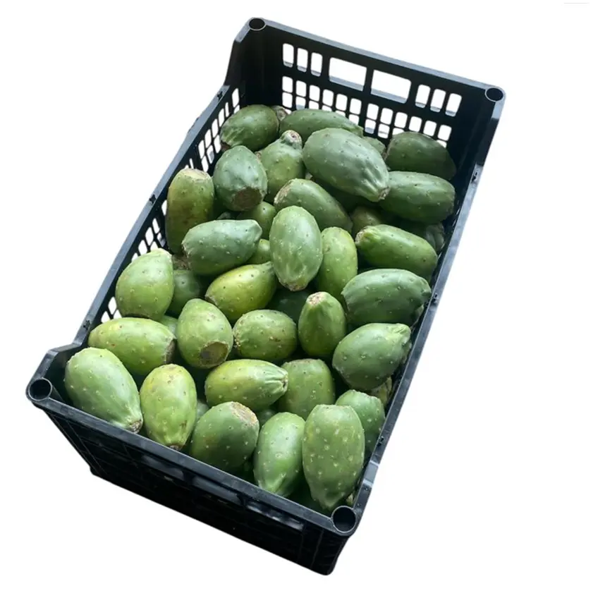 Tuna Verde Cristalina | Est. México | C-PLS ±11Kgs                                                                               