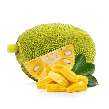 Yaka (Jack Fruit) | Nayarit | GRL                                                                               