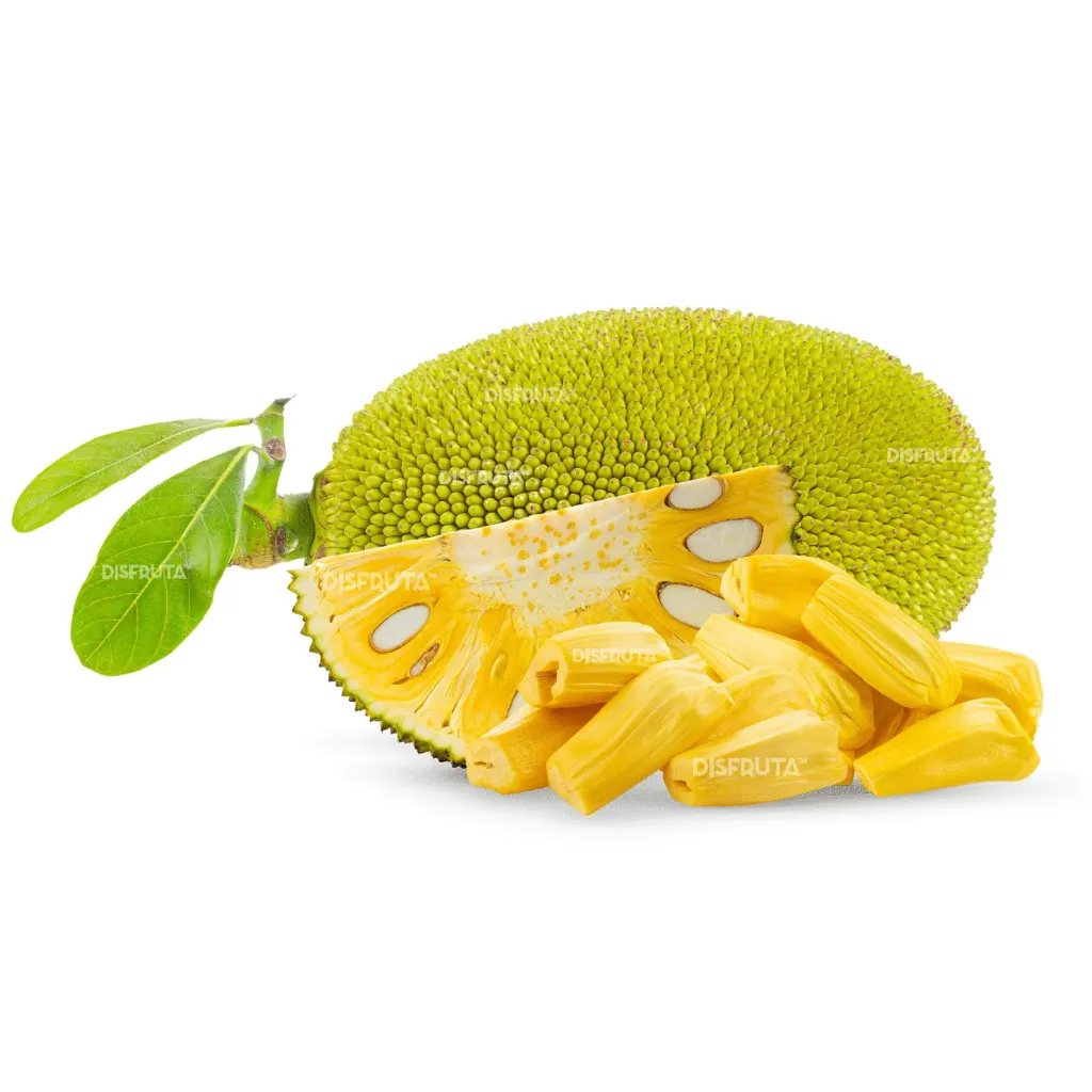 Yaka (Jack Fruit) | Nayarit | GRL                                                                               
