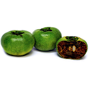 Black Sapote | Diospyros nigra | Veracruz | BLK                                                                          