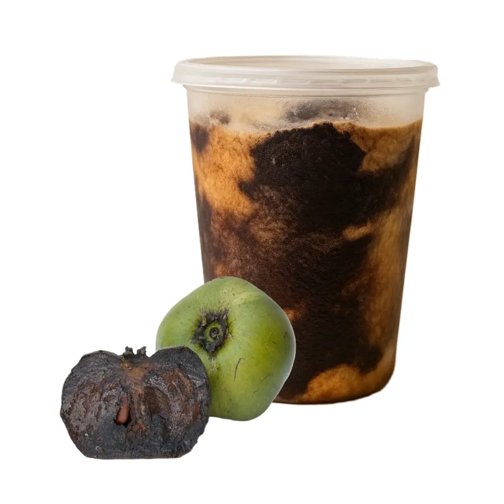 Sapote Negro Congelado | Veracruz | 1LT