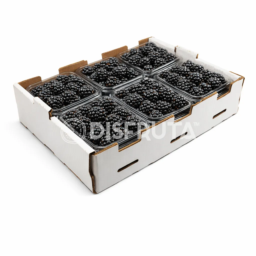 Blackberries | Tuppy | Guanajuato | BX-12 Clamshells 170Gr-6Oz                                                                                