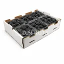 Blackberries | Tuppy | Guanajuato | BX-12 Clamshells 170Gr-6Oz                                                                                