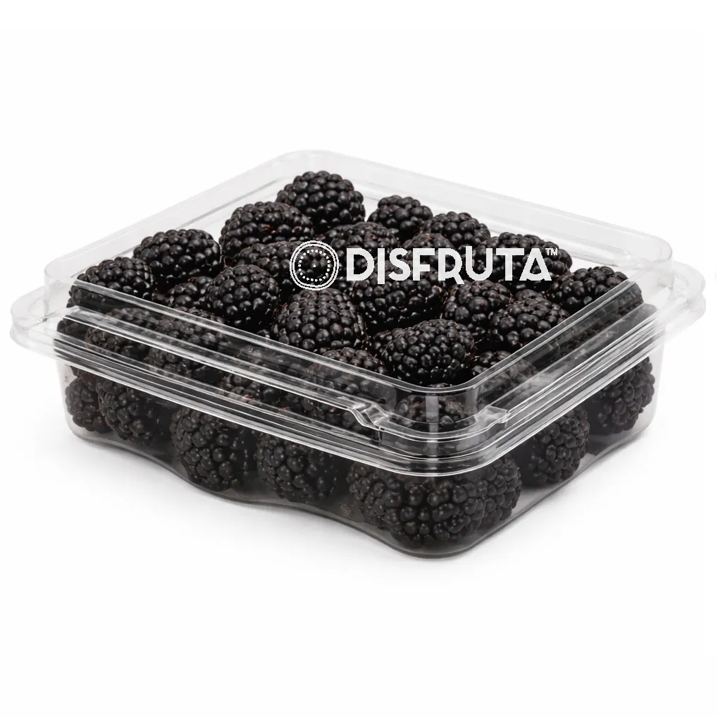 Zarzamora Tuppy | Bayas | Michoacán  | Clamshell ±170Gr-60Oz                                                                               