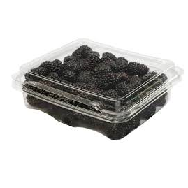 Zarzamora Tuppy | Michoacán  | Clamshell 170Gr-60Oz                                                                               