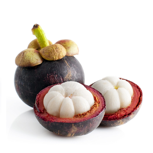 Purple Mangosteen (Garcinia mangostana L.) | Chiapas | BLK  