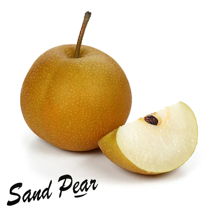 Pera Nashi | Sand Pear® | China | GRL                                                                                 