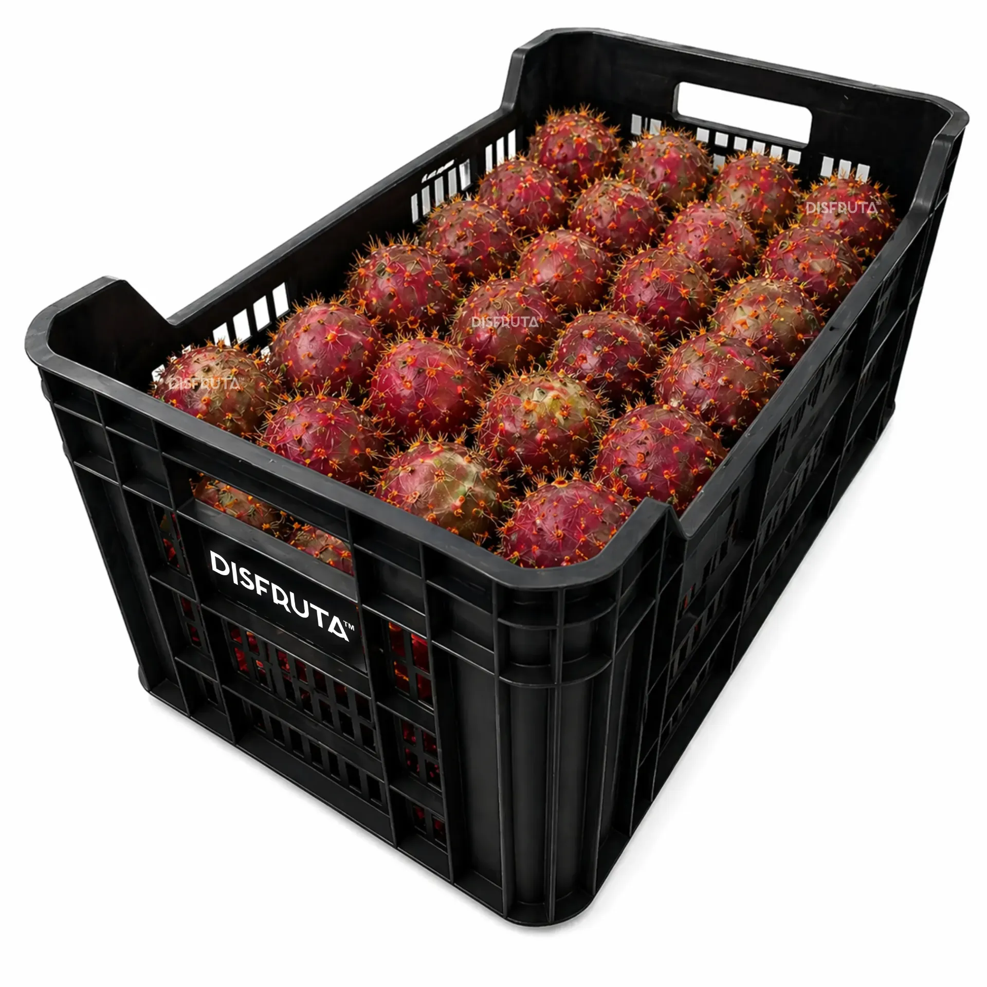 Red Pitaya  | Jalisco | PLS-CRT ±12Kg