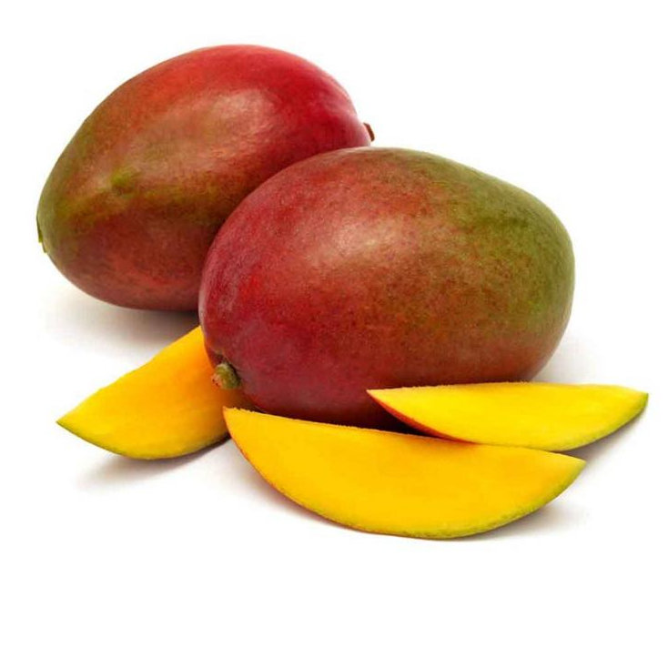 Mango Tommy Atkins | Guerrero | GRL