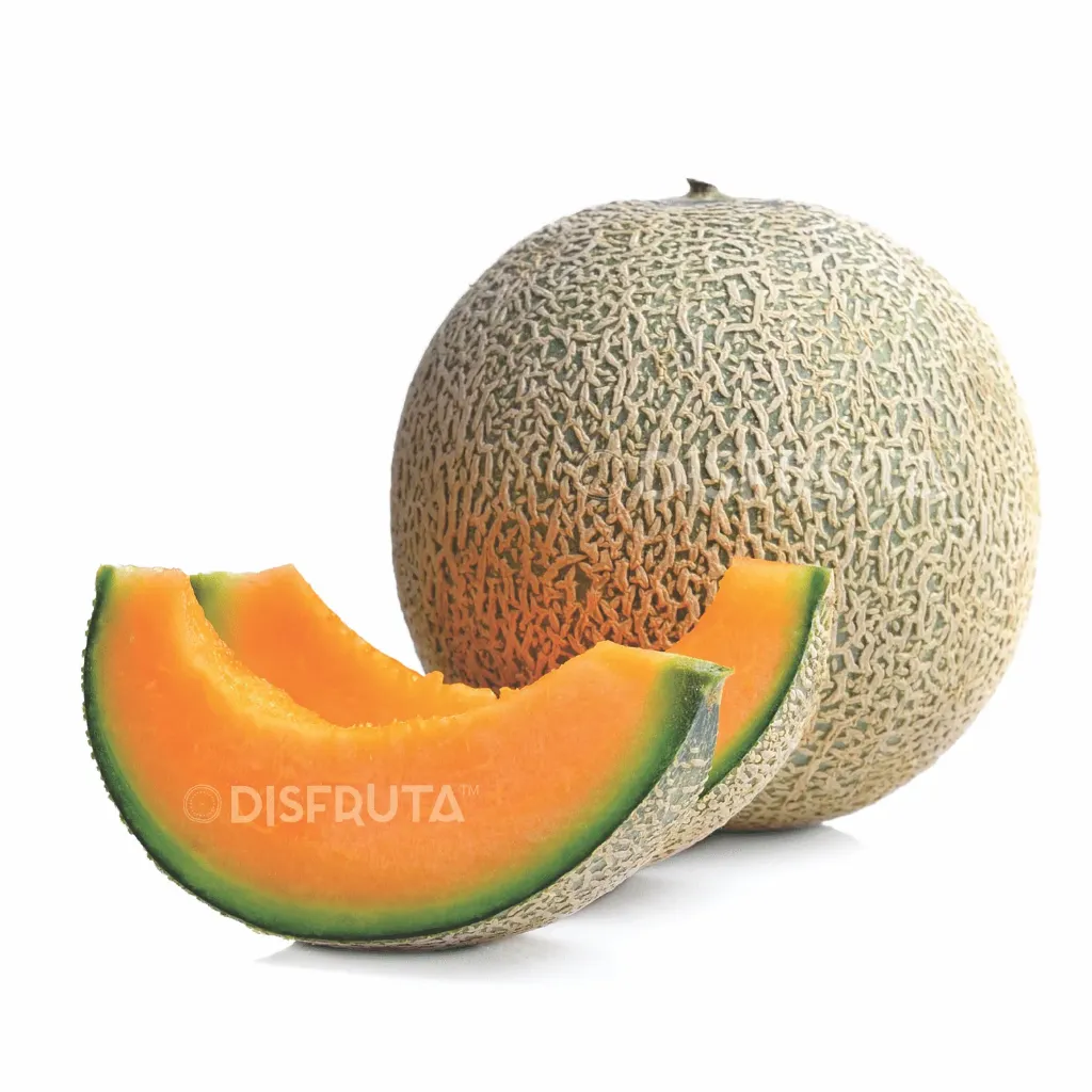 Melón Cantaloupo | # 12's | Coahuila | GRL