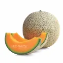 Cantaloupe Melon  | Coahuila | BKL