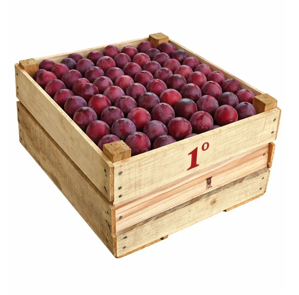 Ciruela Moscatel | # 1° | Michoacán | C-MDR ±10KG