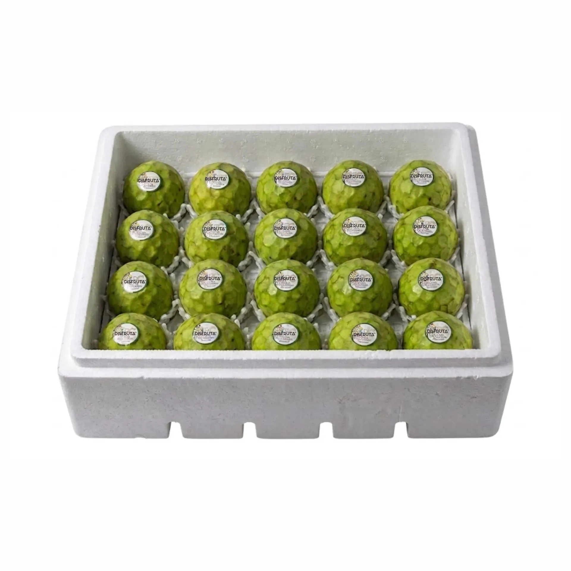 Chirimoya | #18 | Custard Apple | Annona Cherimola | Morelos | C-UNC ±8.2Kg