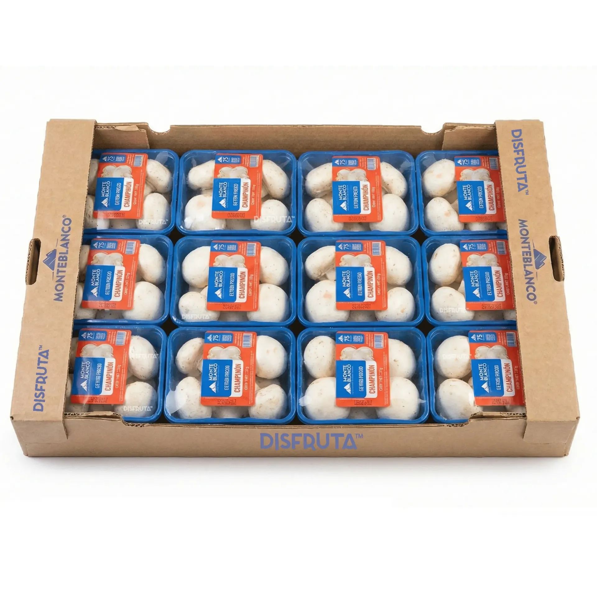 White Button Mushroom | Monteblanco® | CTN-TRAY 12U/0.5Lb                                                                           